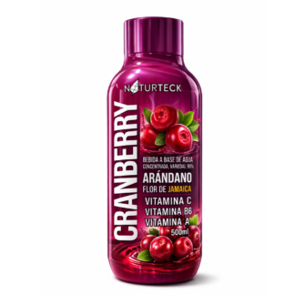 Bebida Concentrada Arándano Flor de Jamaica Vitamina C B6 A 500ml