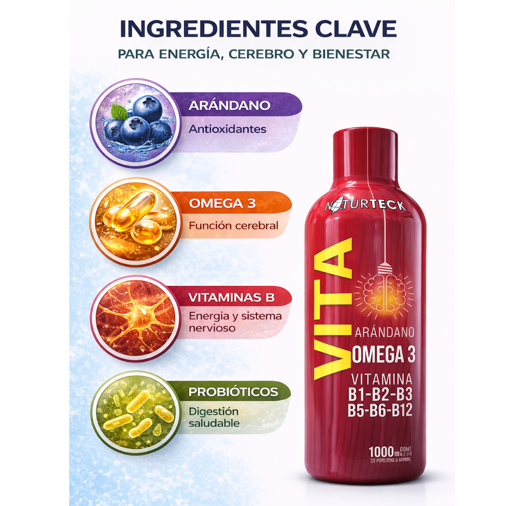 Suplemento VITTA ARÁNDANO OMEGA 3 + VITAMINAS 1000 ML - Image 3
