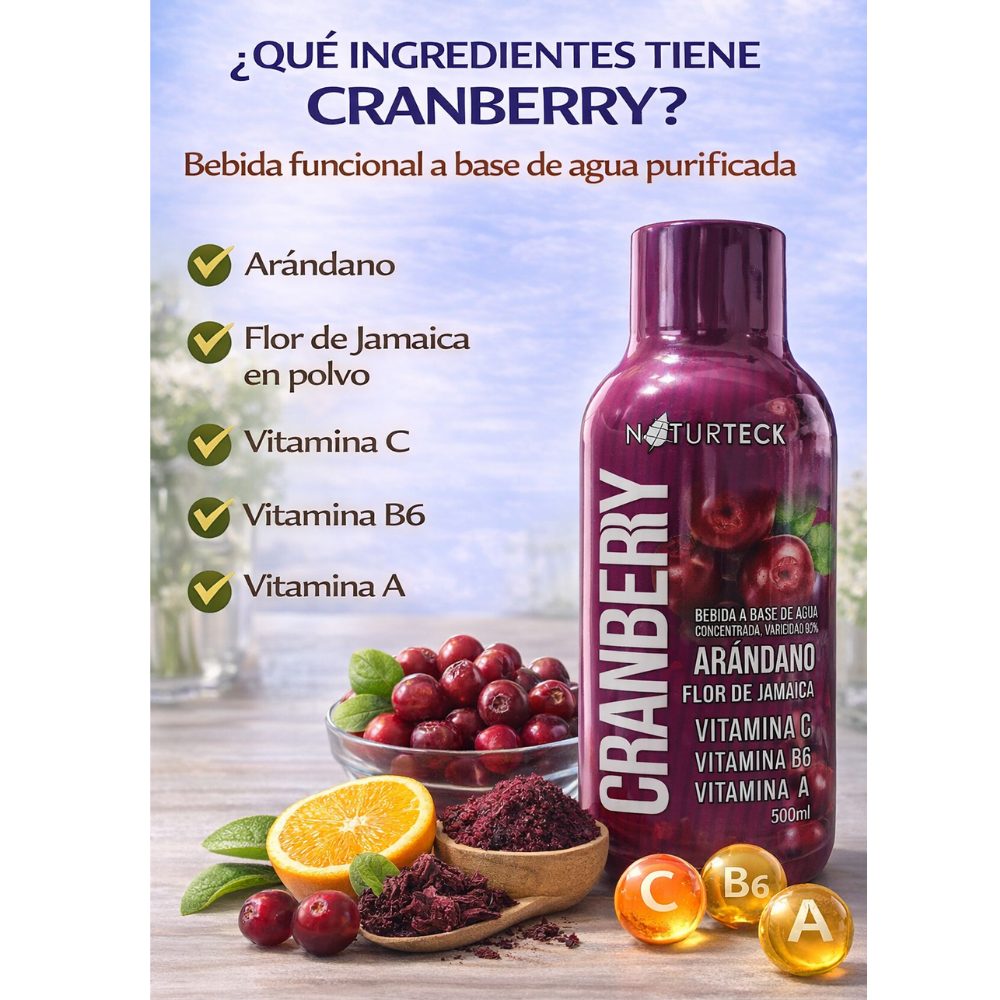 Bebida Concentrada Arándano Flor de Jamaica Vitamina C B6 A 500ml - Image 4