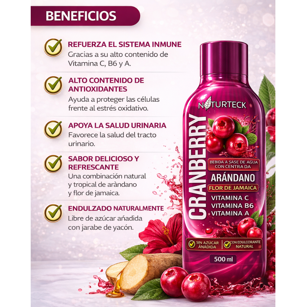 Bebida Concentrada Arándano Flor de Jamaica Vitamina C B6 A 500ml - Image 5